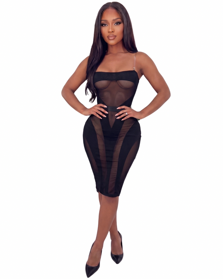 Noir Veil Mesh Midi Dress/2 Piece